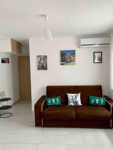 Successful Airbnb property: Cactus apartment in Saint Leu