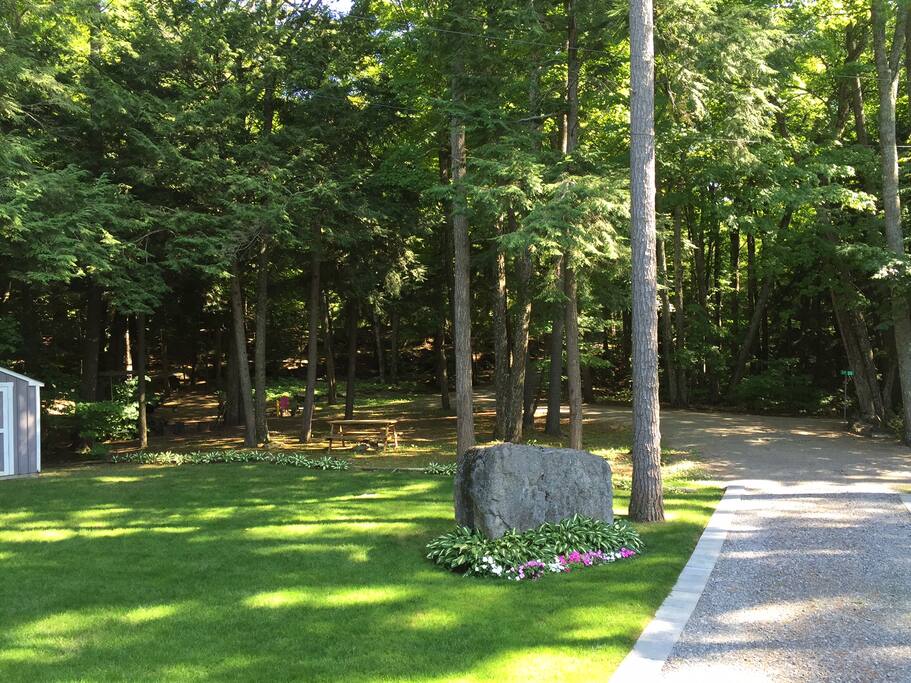 Large spacious front yard
