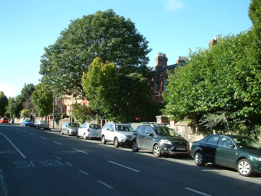 Street view