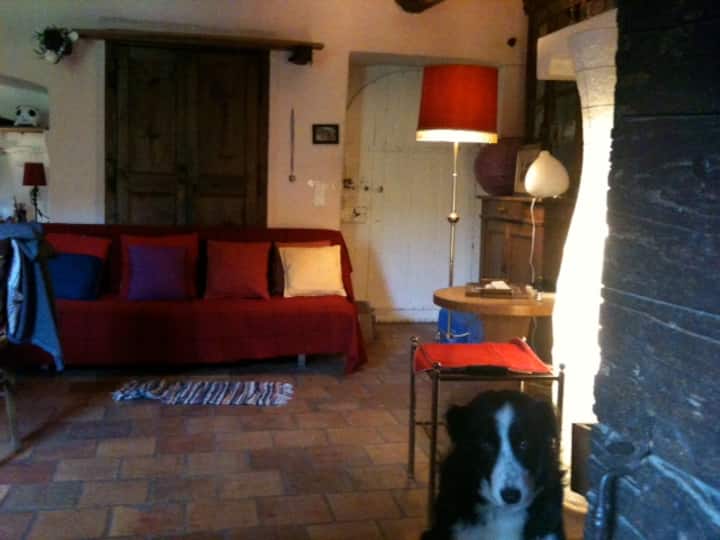 Accueil Dans La Campagne Cévenole - Mialet