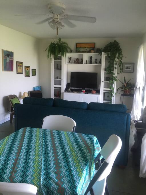 Large living dining area with queen sofa bed