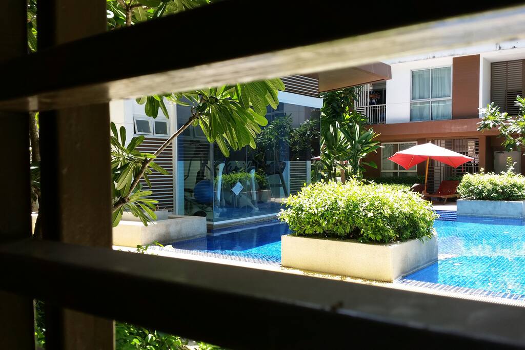 View from kitchen