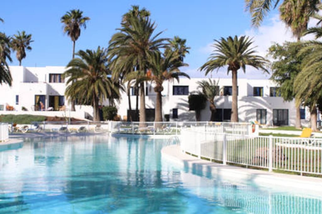 Large Swimming pool