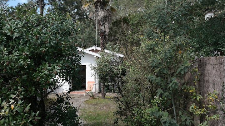 Petite Maisonnette Indépendante - Soorts-Hossegor
