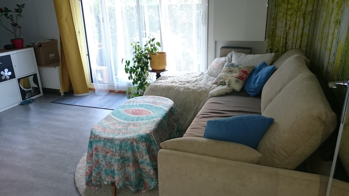 Propriété Airbnb réussie: Agréable T1 avec jardin chat sur place selon dates à Villenave D'ornon