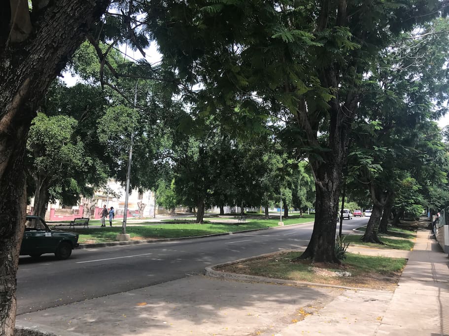 Avenida Paseo