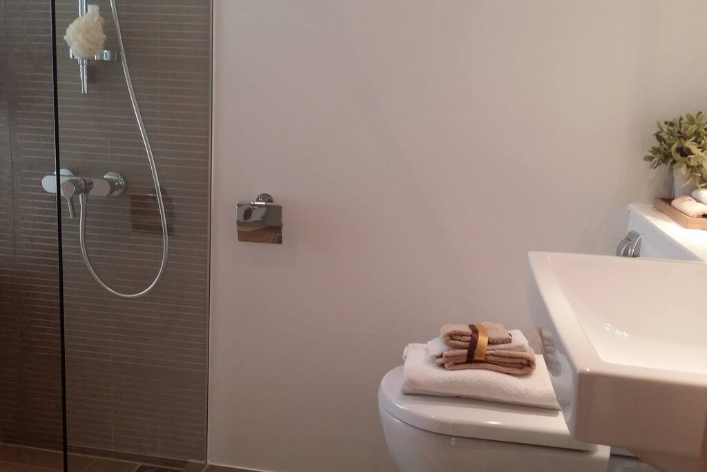 Common toilet.