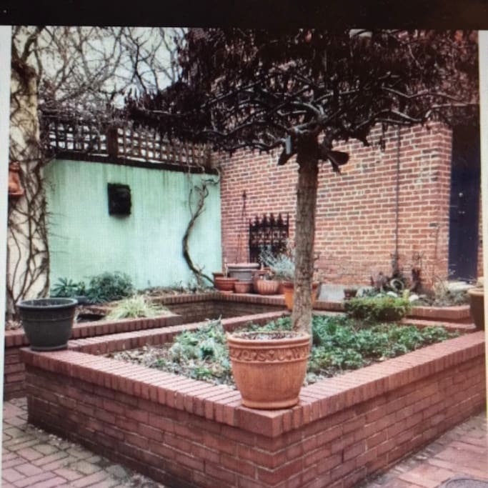 Courtyard in the alley