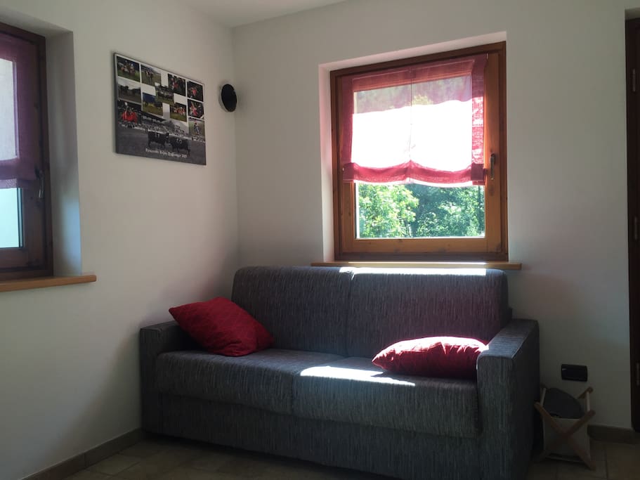 Divano posizionato nella zona giorno (comodo divano letto)