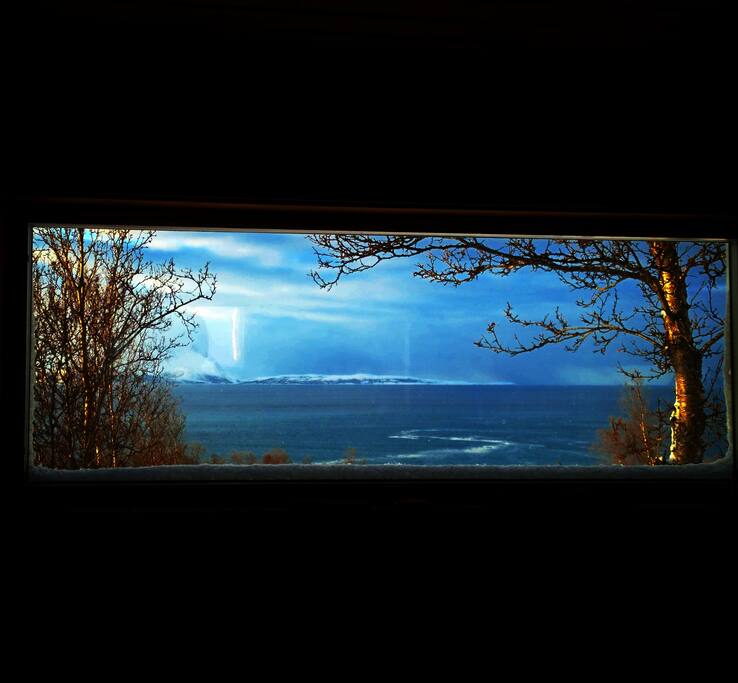 View from the woodfired sauna