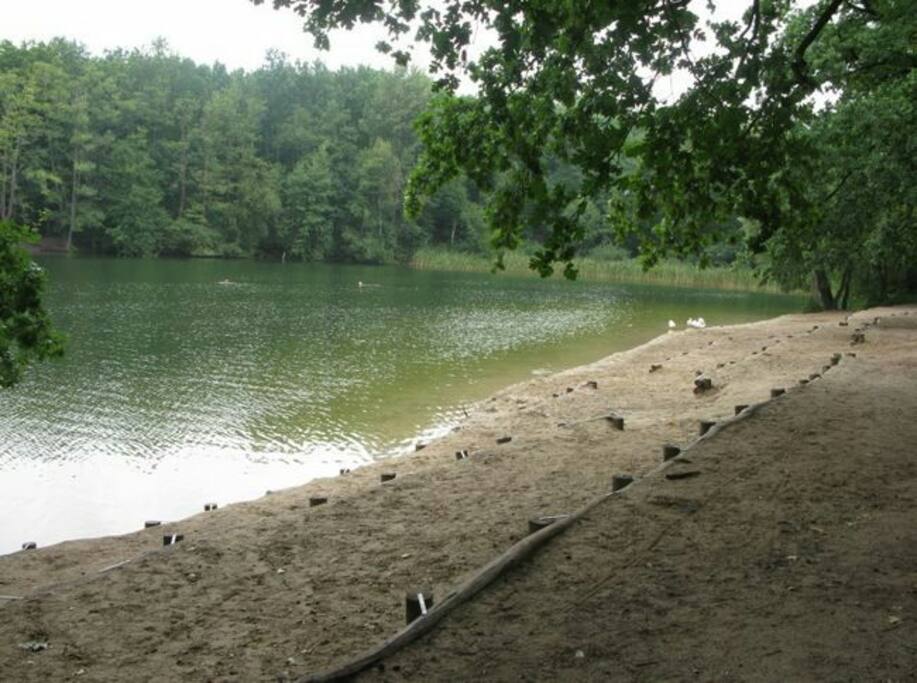 Krumme Lanke *gut zum joggen, spazieren und schwimmen bzw baden* / Krumme Lanke *good for jogging, to go for walk or schwimming and to bathe