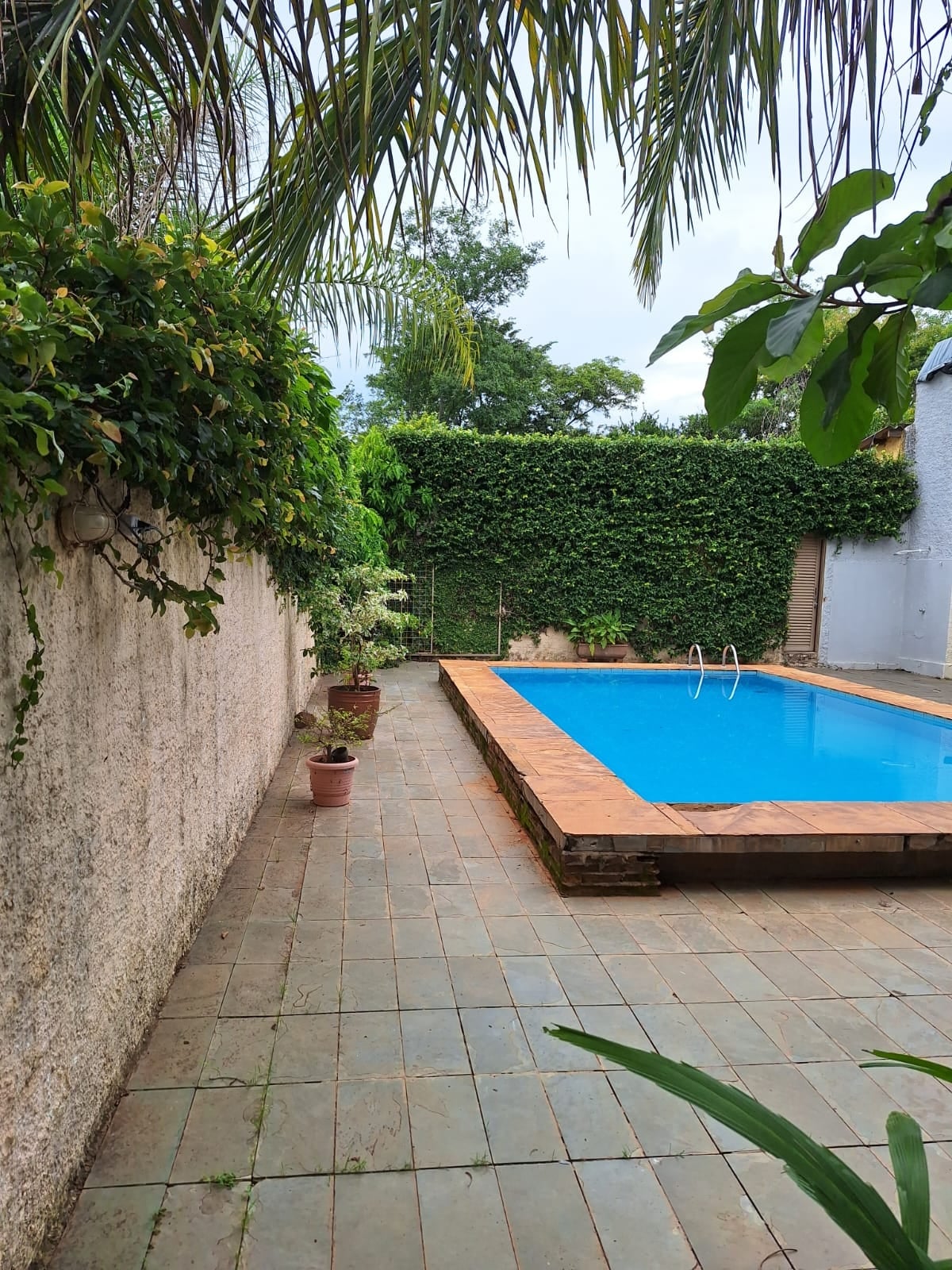 A refreshing swimming pool is surrounded by a paved area featuring various potted plants. Lush greenery lines the walls, creating a secluded environment. Clear blue water invites relaxation, with a small set of stairs leading into the pool.