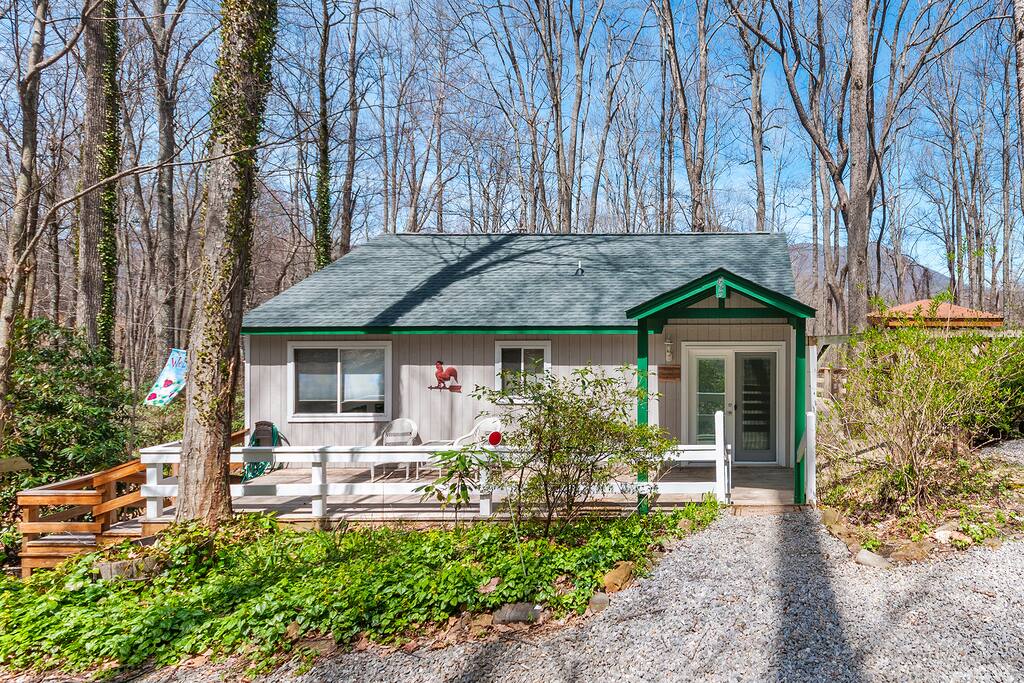 Smoky Mountatin Treehouse - Winter view