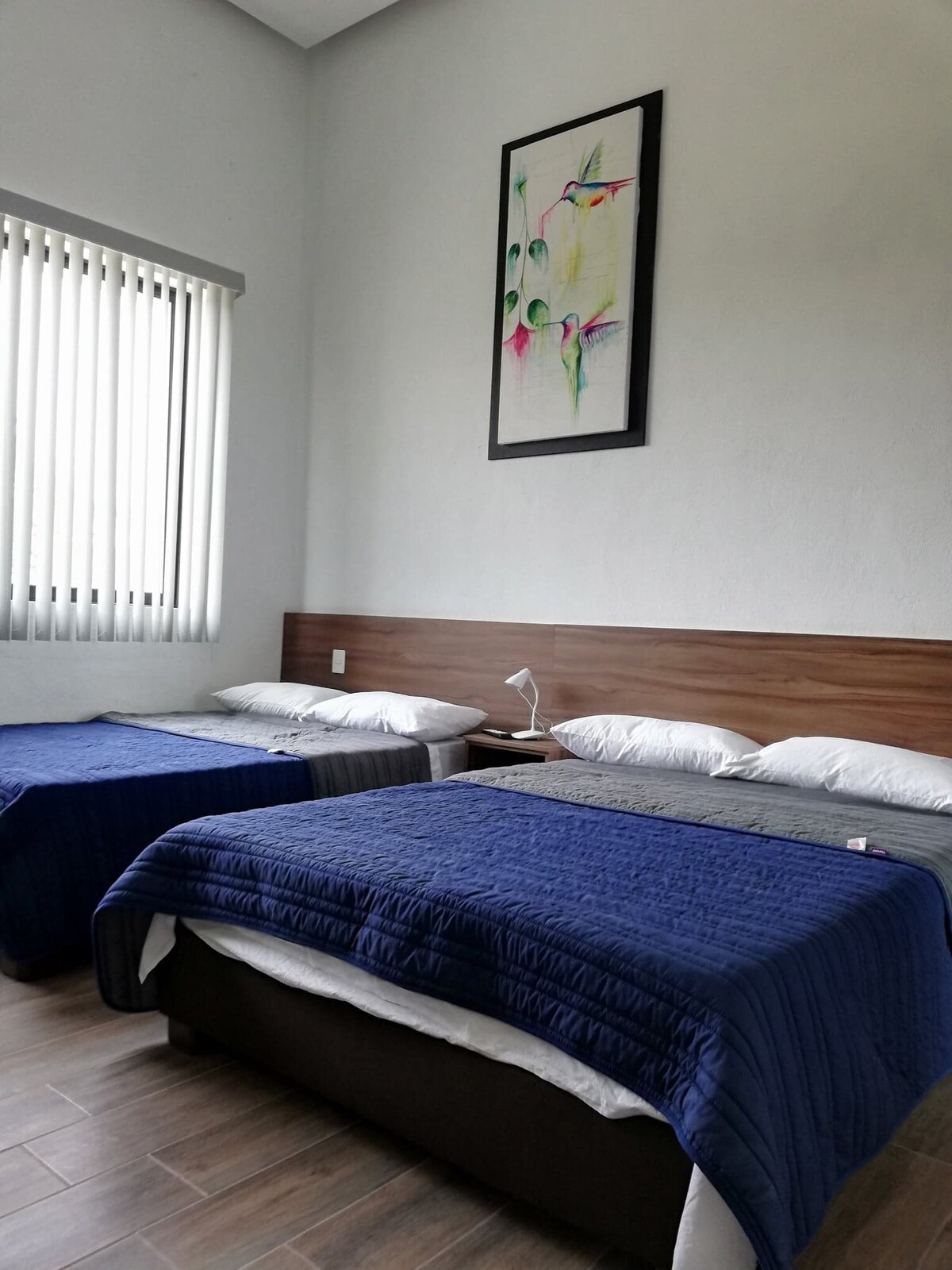 Argëtim me televizor 