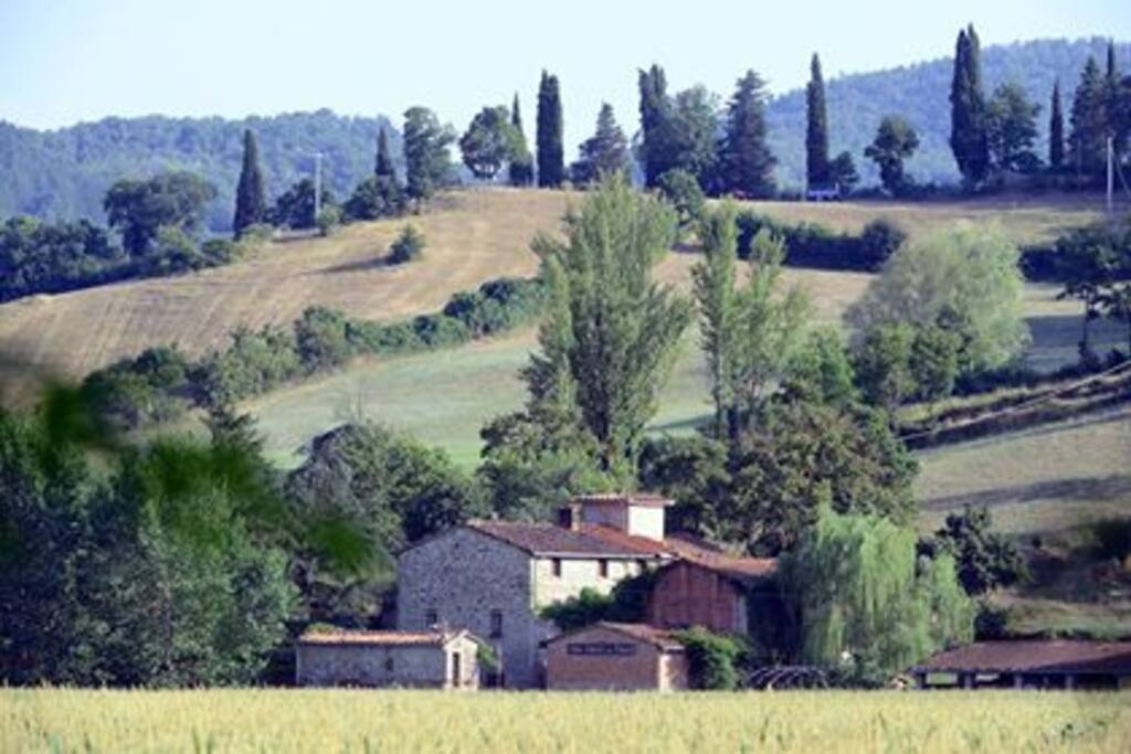 Vista dal campo