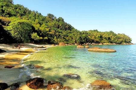 Lindo Quarto Centro Local Privilegiado