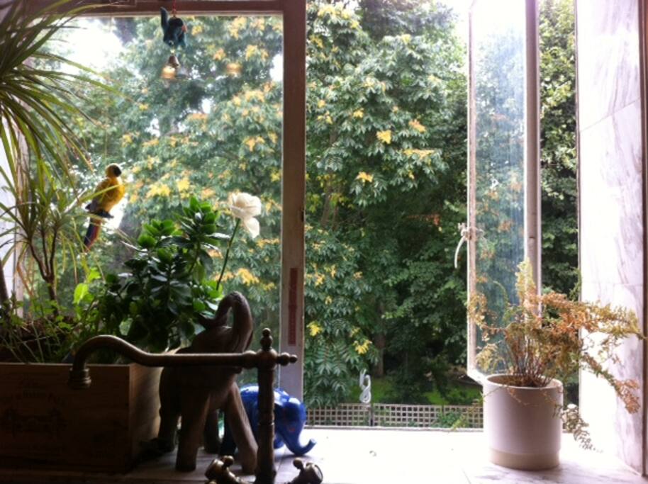 kitchen view