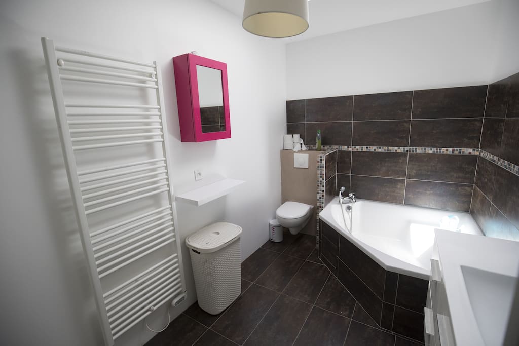Salle de bain baignoire et douche
