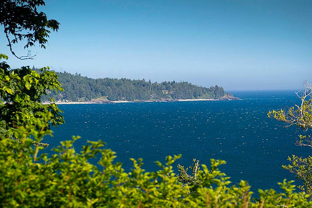 View over Otter Point To be enjoyed from your deck chair, lying in the hammock for propped up in bed raised to take in the views!