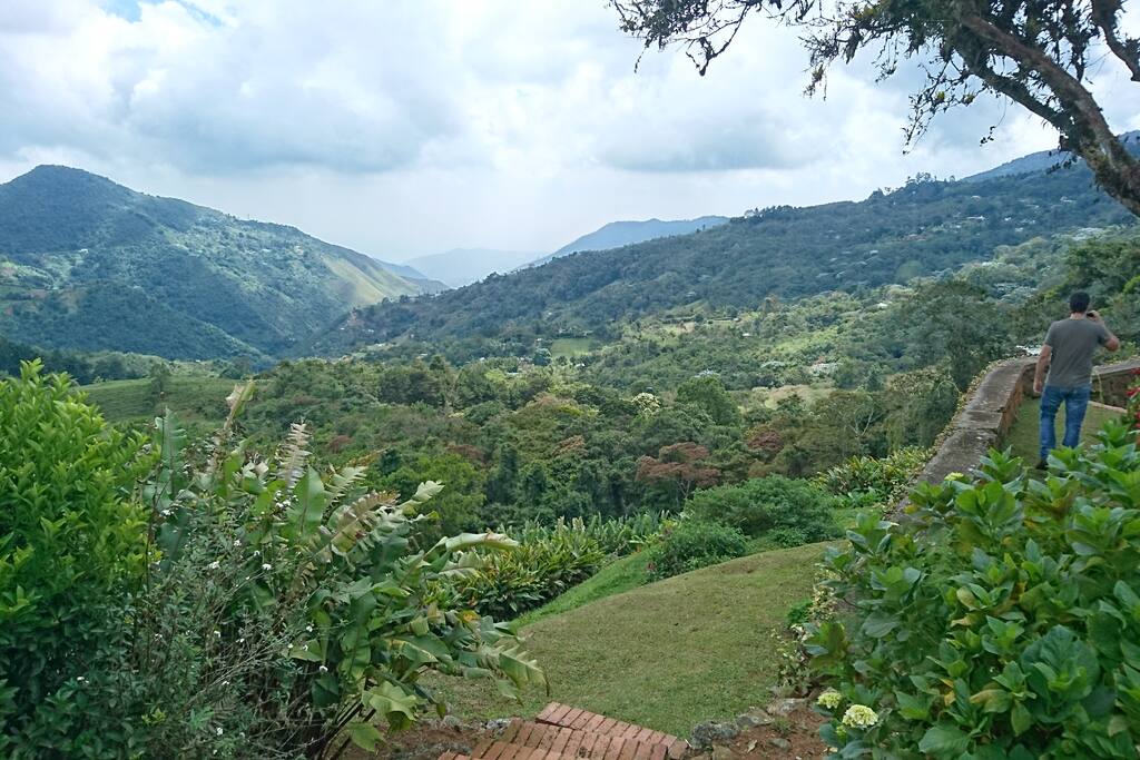 Vista