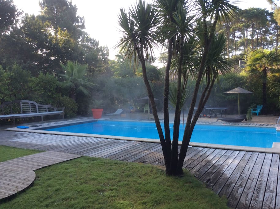 Vue de la chambre sur le jardin et piscine