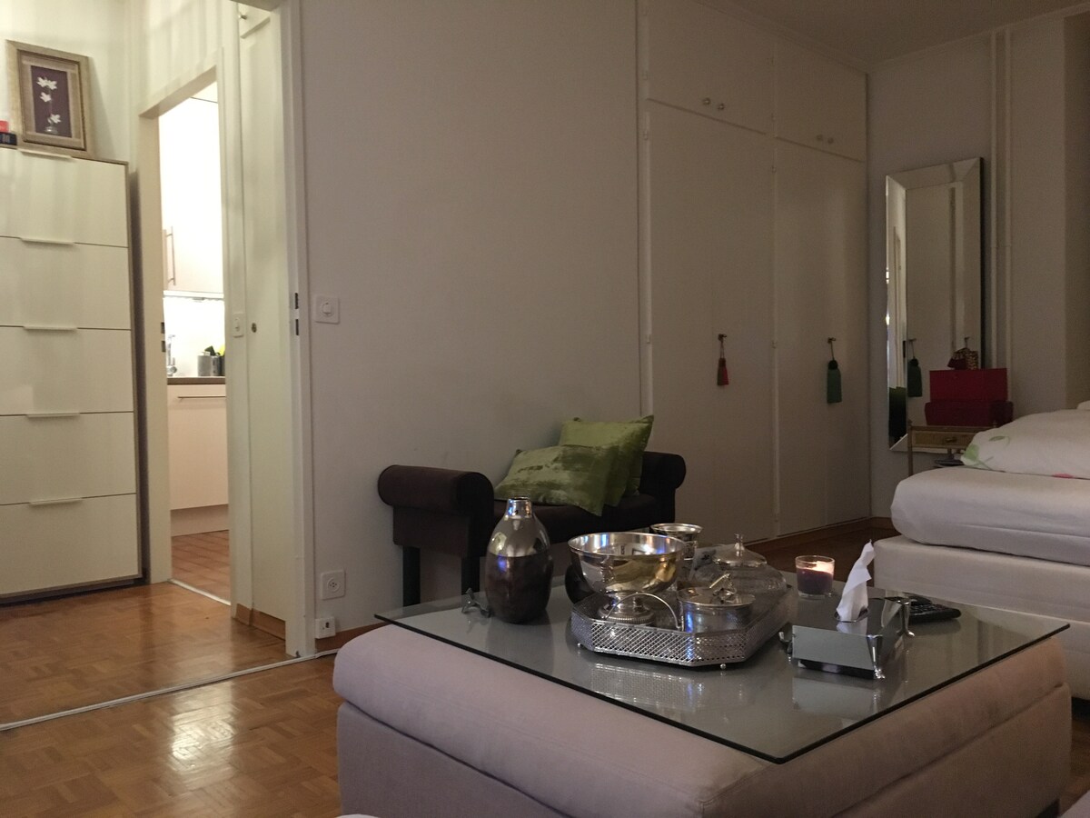 Successful Airbnb property: Superb 2 and a half room apartment in the center in Genève