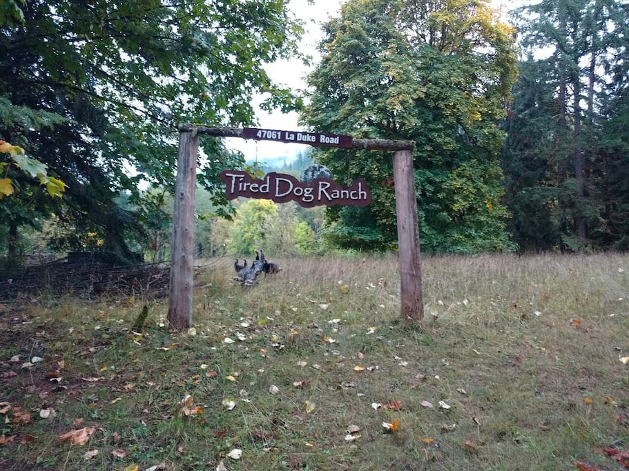 Signage at entry of Tired Dog Ranch