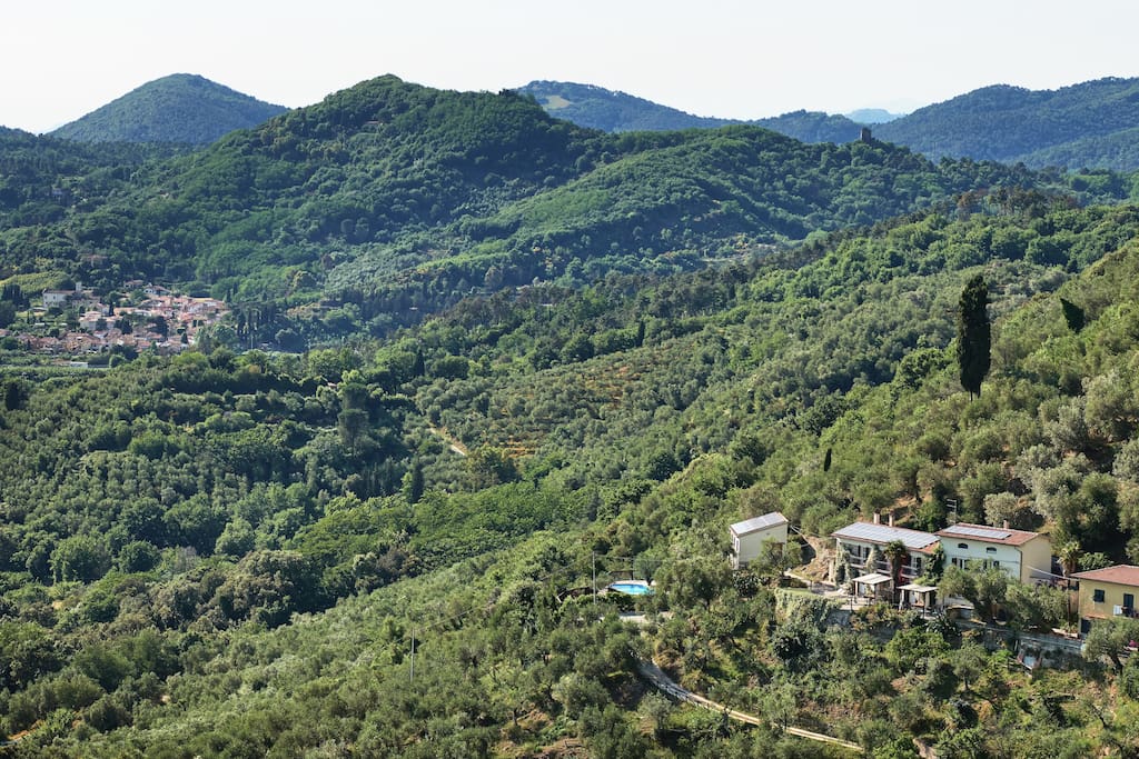 Panoramic view showing the whole estate - three houses, recording studio, swimming pool and olive grove - amazing location