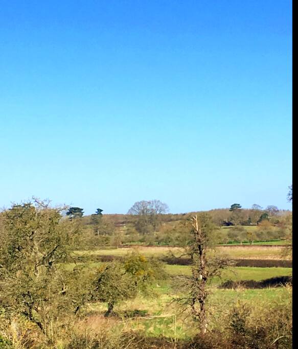 Beautiful views from the front of the house.