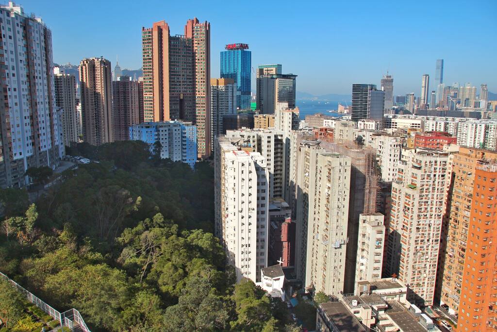 View from balcony of apartment by day