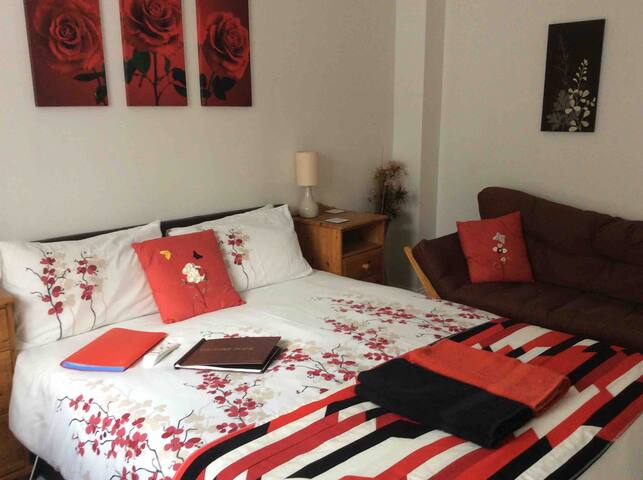 Spacious lower floor, Roche
(Pet on premises)