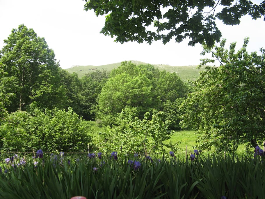 View in front of the house
