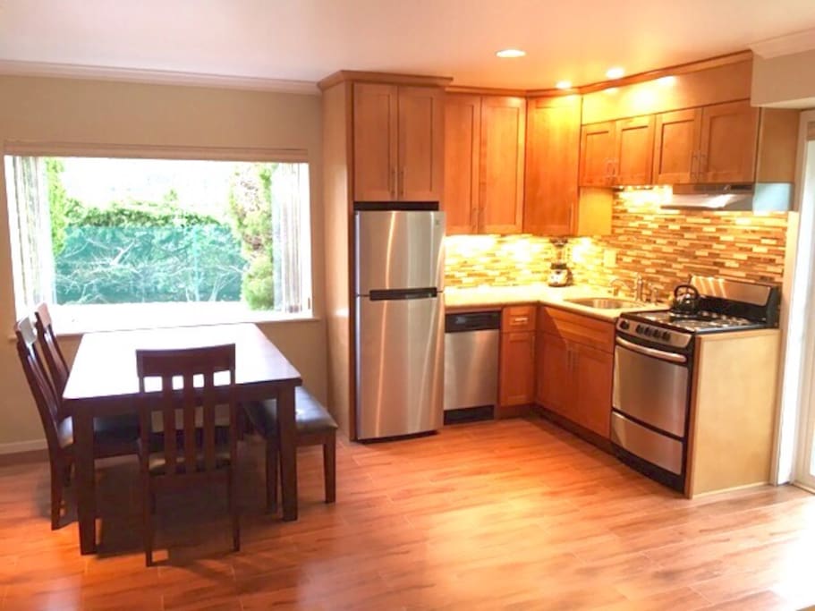 Sleek new kitchen with garden view