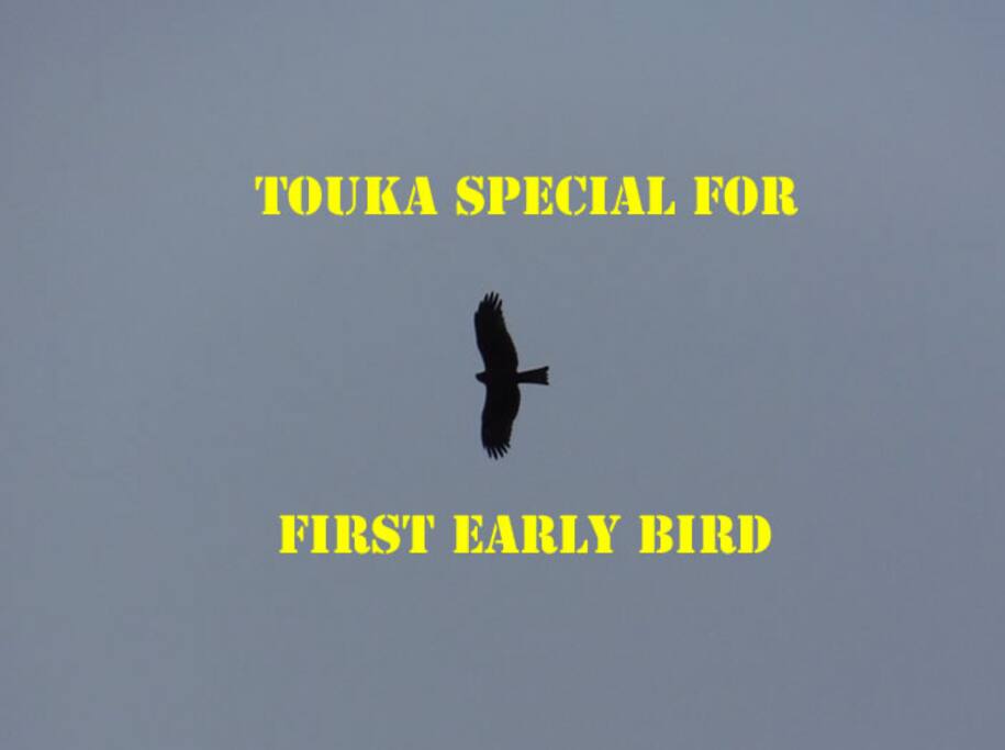 Special Offer