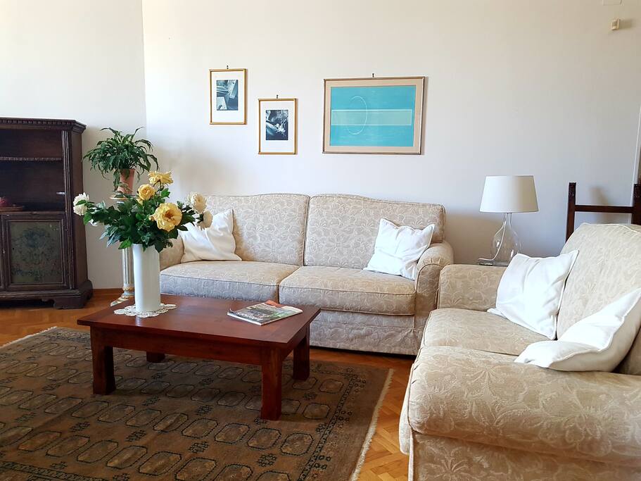 A beautiful shot of the living room