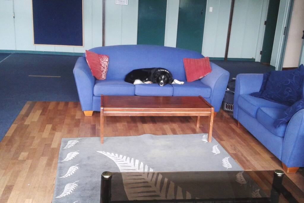 Roy our Dog waiting on People
