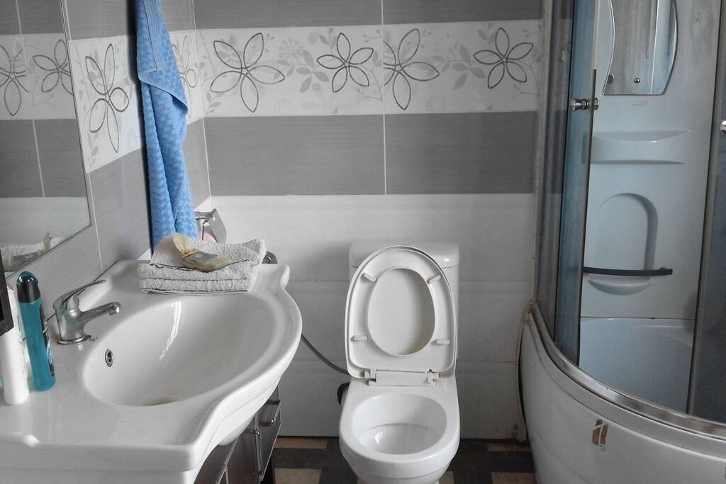 lavabo, toilette et salle de bain chambre n°1