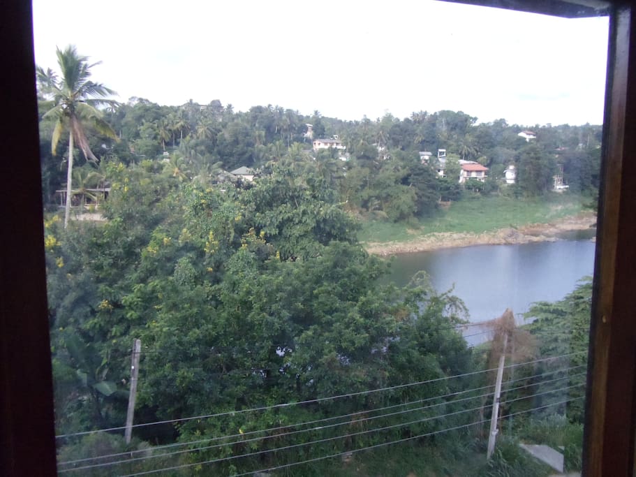 Views from the window