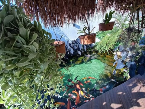 Lago das Carpas Inn