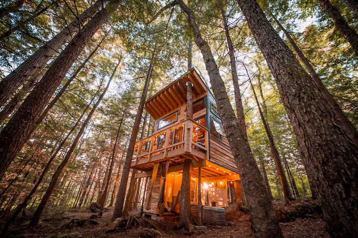 A Vermont elevated cabin vacation rental is seen from a low angle with high pine trees all around