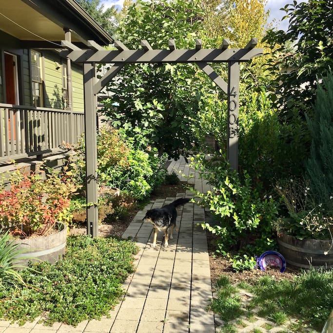 entry to courtyard - our dog welcomes you