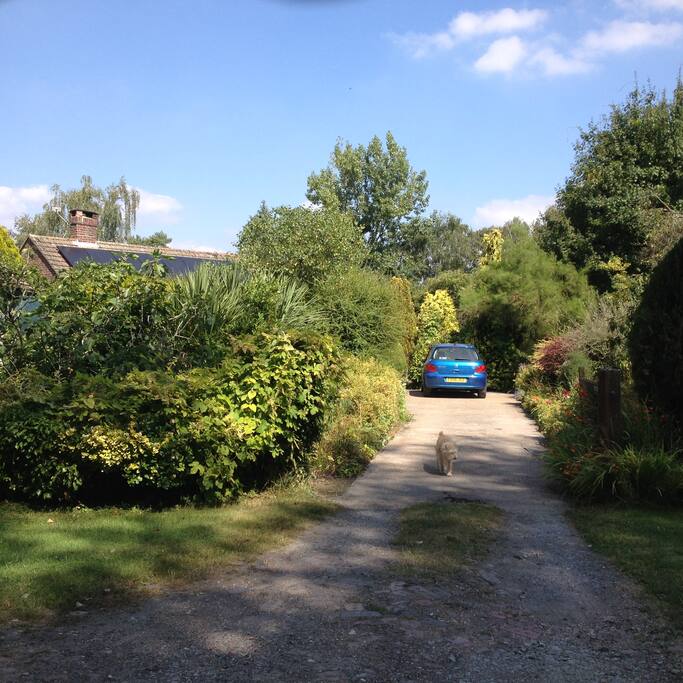 Our driveway and large garden