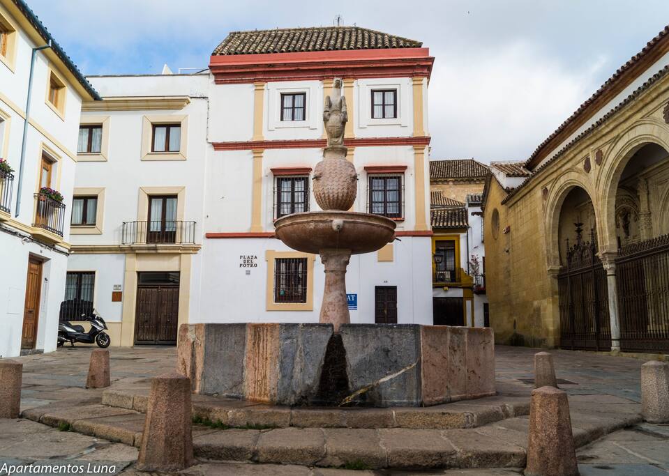 Plaza del Potro (Entorno de la Vivienda)