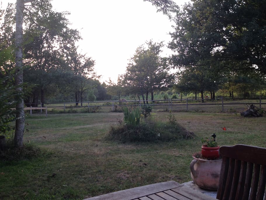 vue de la terrasse et du salon
