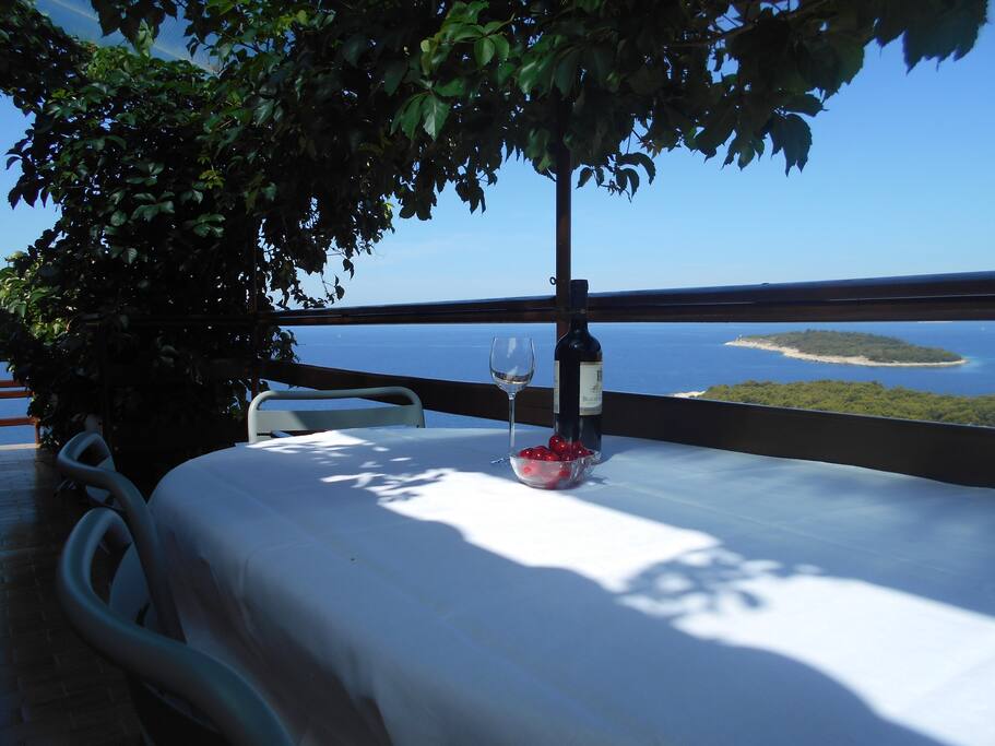 Apartment A1, terrace