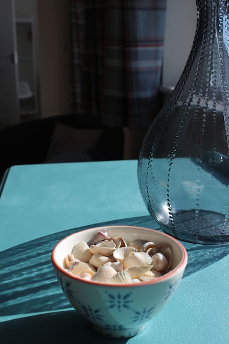 Seashells and Sunlight