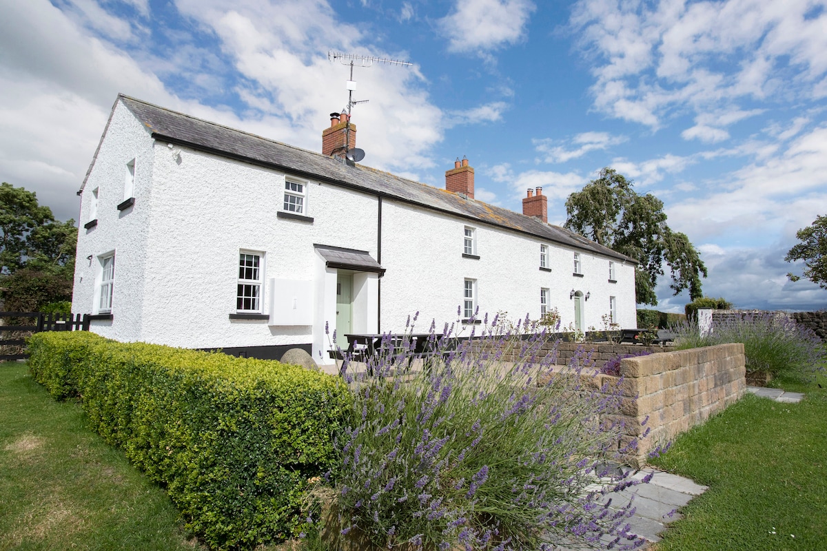 The farmhouse exterior is characterized by a whitewashed façade and red brick chimneys. A manicured garden with lavender plants surrounds the property, adding a touch of color. A patio area with outdoor seating is visible, framed by green hedges and a clear blue sky.