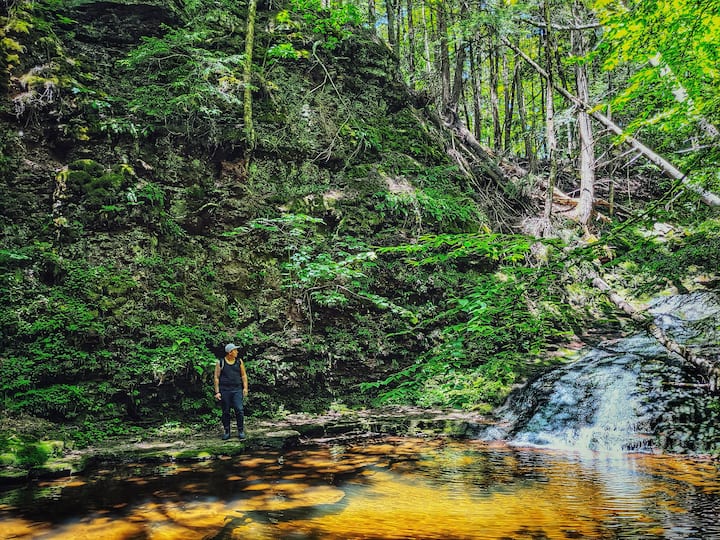 Waterfall Campsite 40 Acres w/ Waterfalls Tents for Rent in