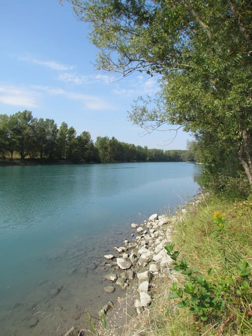 Le long du Rhône sauvage