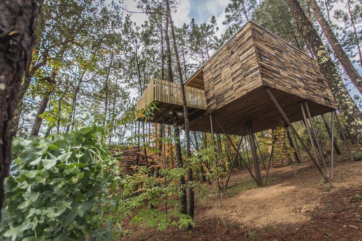 Cabaña en el árbol (Cabaña Albán) - Casas en el árbol en alquiler en